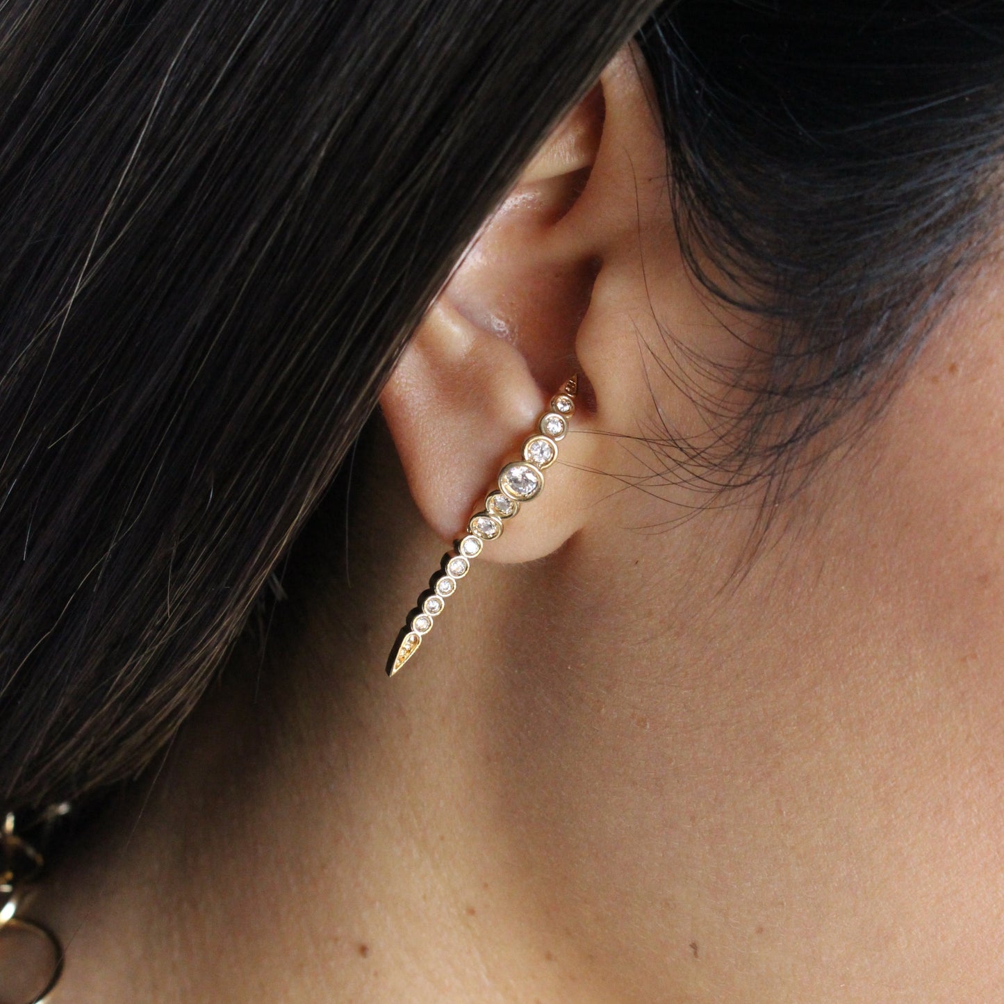 Rattlesnake Earrings