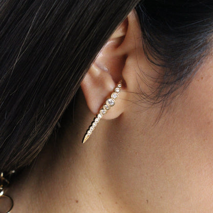 Rattlesnake Earrings